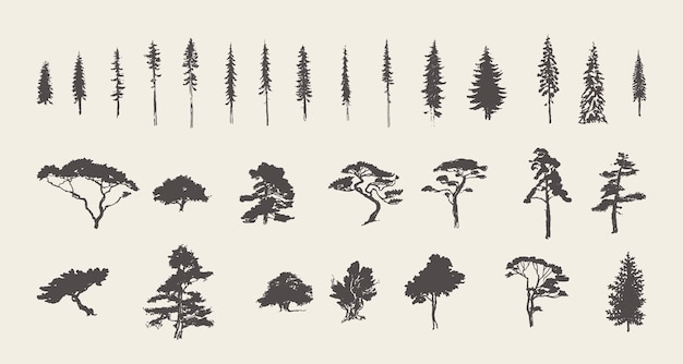 Set of silhouettes of coniferous trees. Pine, fir, spruce, cedar, larch