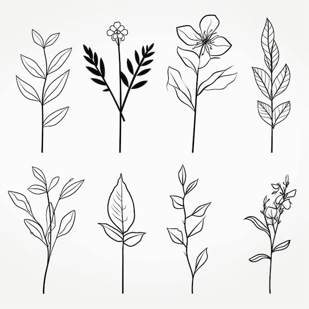 Photo a set of six different types of leaves and flowers generative ai