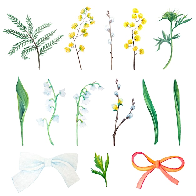 Photo set of spring plants and bows watercolor illustrations item on a white background