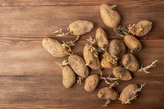 Set of sprouted potatoes on wooden table Sprouts are part of the natural growth process of potatoes