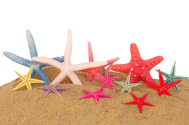 Set of starfish in sand isolated on white background