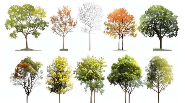 Foto un set di dieci alberi ad acquerello gli alberi sono in stagioni diverse e includono una varietà di colori e forme