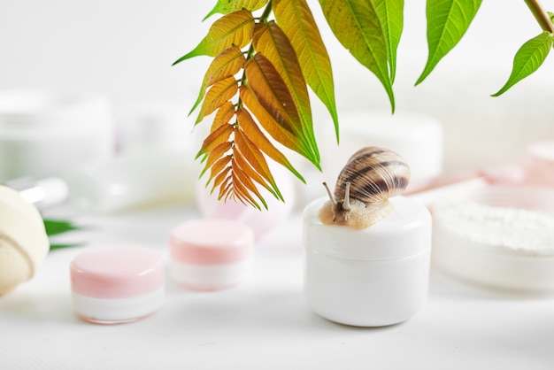 Set of traditional spa products and snail