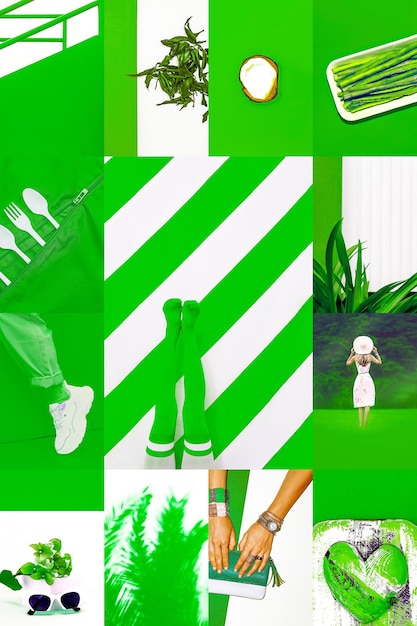 set of trendy aesthetic photo collages minimalistic images of one top color bio green eco moodboard