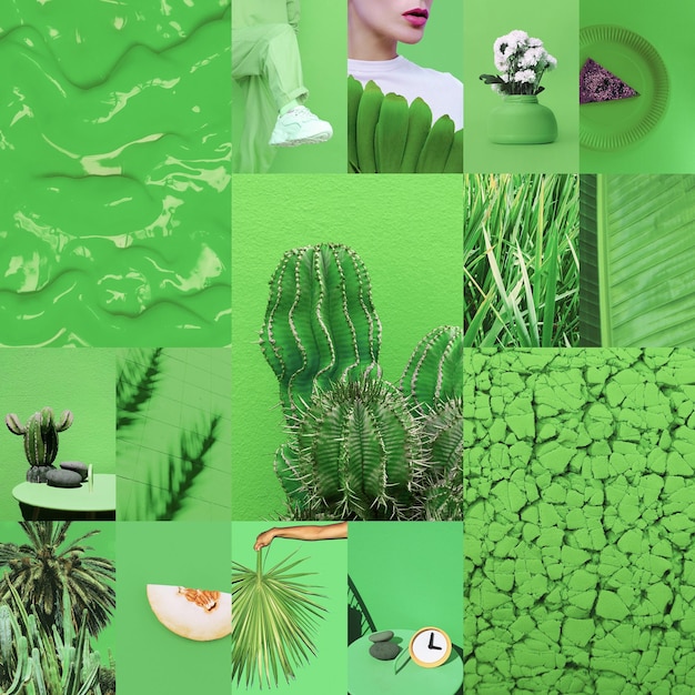 Set of trendy aesthetic photo collages Minimalistic images of one top color Bio Green eco moodboard