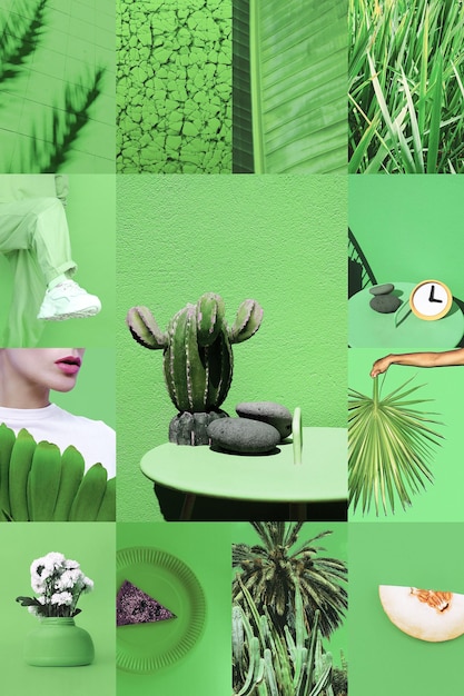 set of trendy aesthetic photo collages minimalistic images of one top color bio green eco moodboard