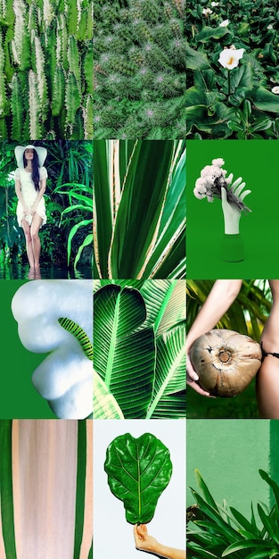 Set of trendy aesthetic photo collages minimalistic images of one top color green eco moodboard