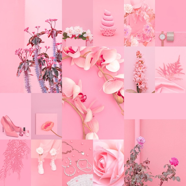Set of trendy aesthetic photo collages Minimalistic images of one top color Pastel Pink moodboard