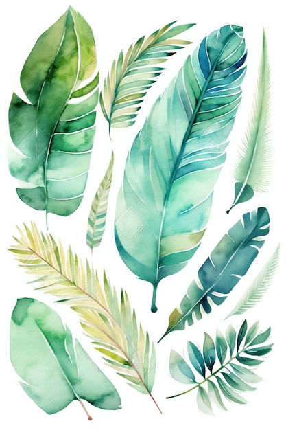 A set of tropical leaves.