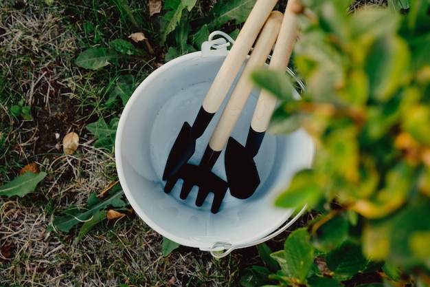 Set tuinbenodigdheden in witte emmer op de achtergrond van de natuur. Huishoudelijke artikelen voor de tuin. Tuingereedschap, hark, schoppen. Huishoudelijke artikelen worden op een hoop verzameld.