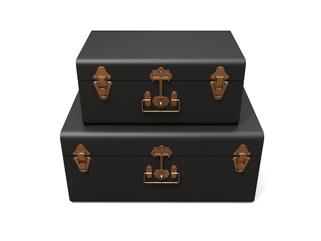 Комплект из двух коричневых кожаных чемоданов с изысканными застежками