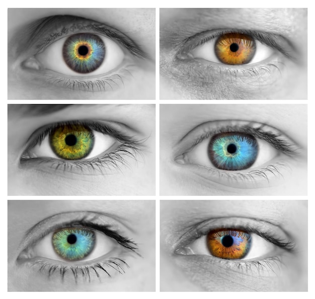Foto set van 6 kleurrijke verschillende open ogen enorm formaat