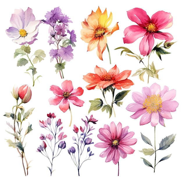 Set van aquarel bloemen