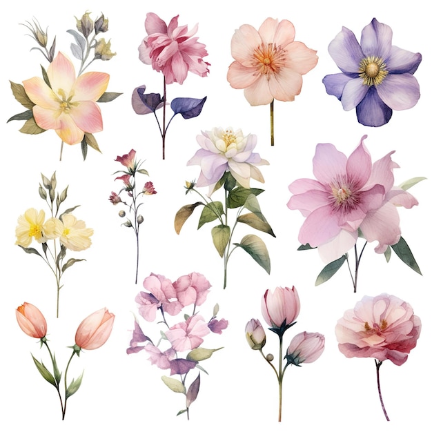 Set van aquarel bloemen