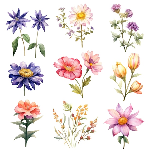 Set van aquarel bloemen