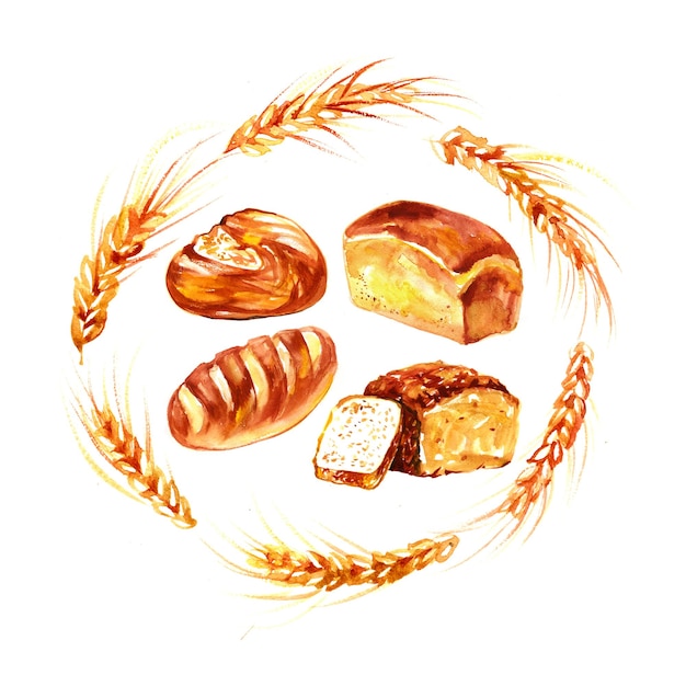 Set van bakken in aquarel stijl Broodjes baguettes brood