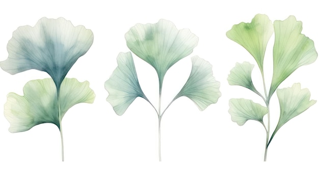 Set van drie botanische aquarelillustraties AI gegenereerd