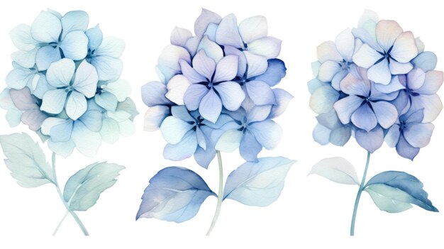 Set van drie zachte aquarel hortensia cluster huisdier AI gegenereerd