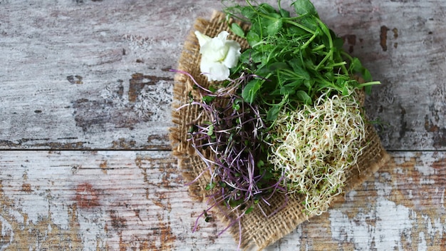 Set van microgreens op een houten oppervlak