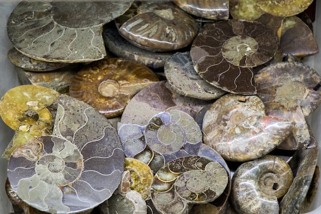 Foto set van natuurlijke minerale edelstenen