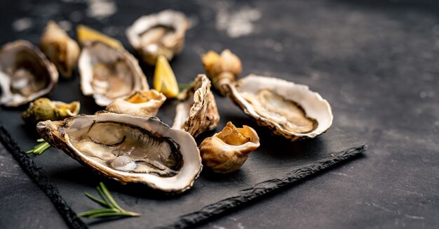 Set van oesters en slakken op zwarte schotel