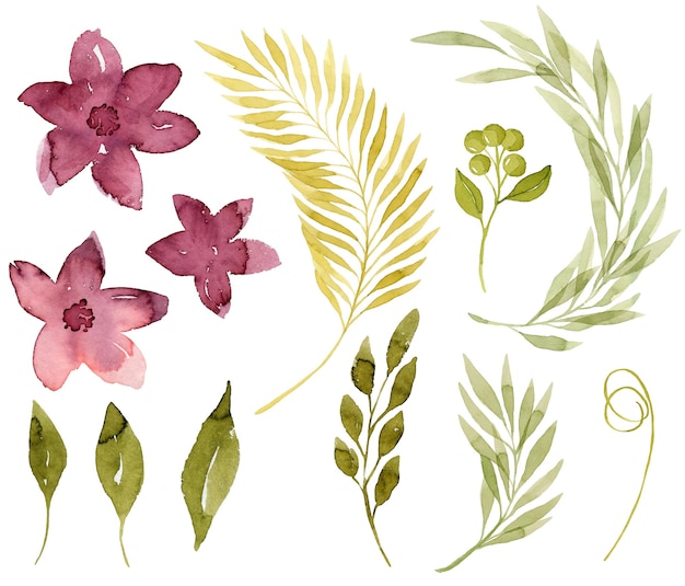 Set van roze aquarel bloemen groene aquarel bladeren varens en takken botanische illustratie