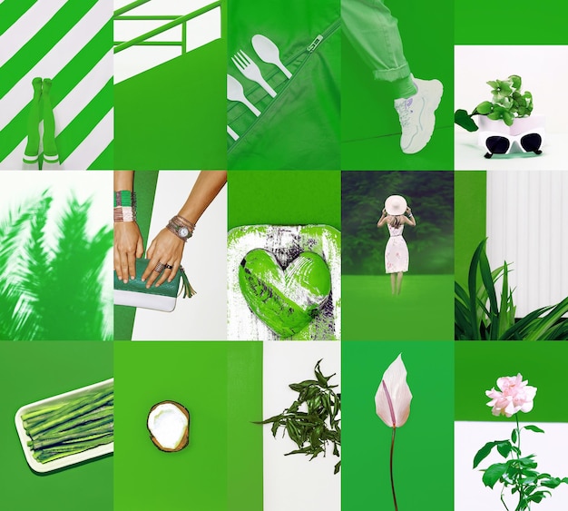 Foto set van trendy esthetische fotocollages minimalistische afbeeldingen van één topkleur bio green eco moodboard