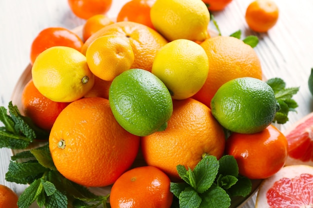 Set van verschillende citrusvruchten, close-up
