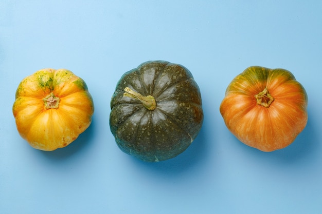 Set van verschillende kleuren pompoenen