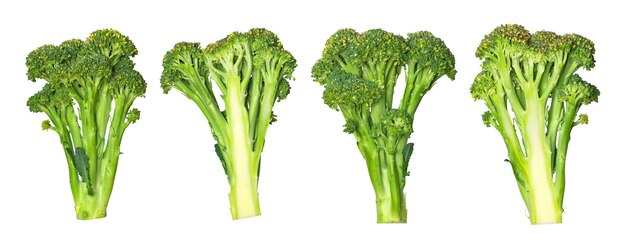 Set van verse broccoli geïsoleerd op een witte achtergrond