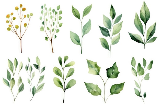 Set van waterverf groene bladeren op witte achtergrond Vector illustratie Waterverf bloemen illustratie set groene blad takken collectie AI gegenereerd