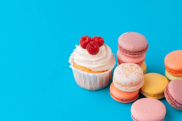 Insieme di vari cupcakes fondente pronti per essere mangiato - insieme luminoso e colorato