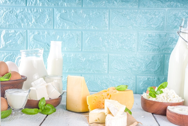 Photo set of various fresh dairy products