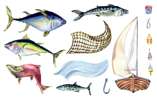 Set of various fresh sea fish watercolor illustration isolated on white Fishing boat and mackerel