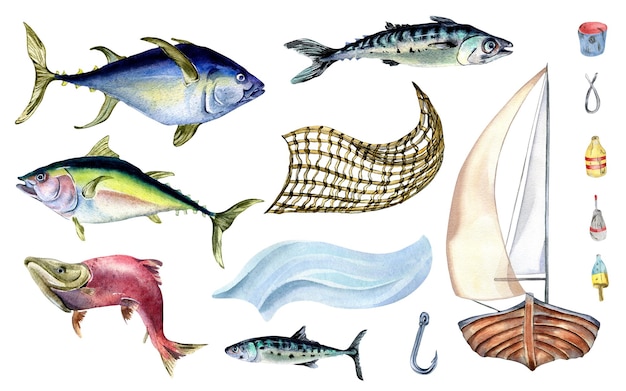 Photo set of various fresh sea fish watercolor illustration isolated on white fishing boat and mackerel