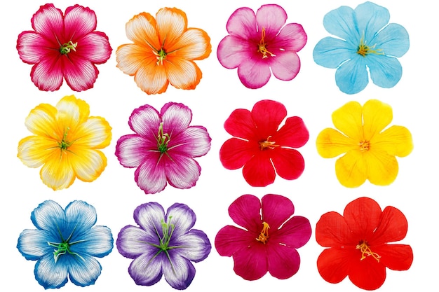 Set veelkleurige kunstmatige bloemknoppen voor ontwerp op een geïsoleerd.