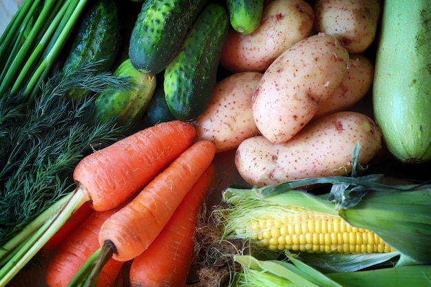 Set of vegetables Healthy food concept