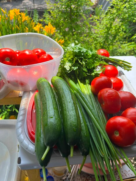 Set of vegetables in nature