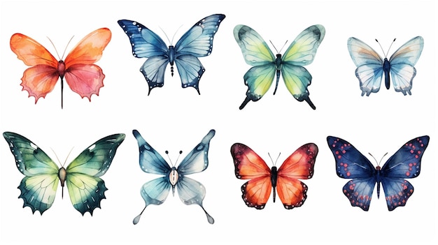 Set of watercolor butterflies isolated on white background Vector illustration