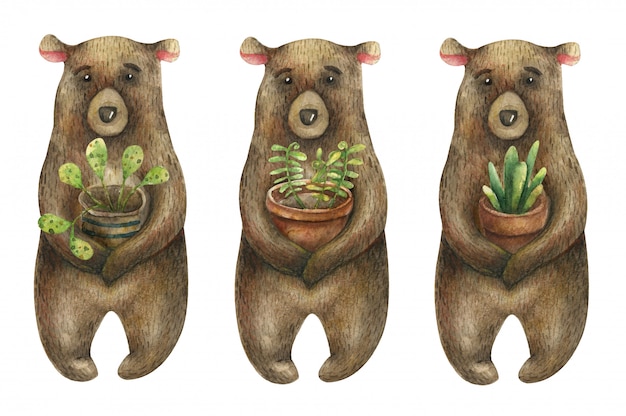 set of watercolor cute brown bears holding a brown pot with a green, domestic plant.