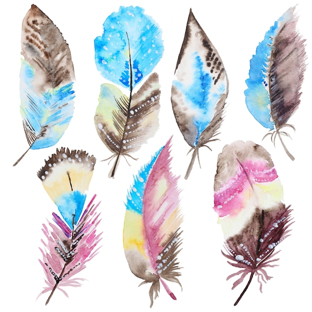 Set of watercolor feathers