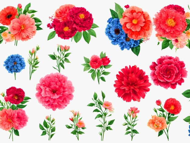 Set of watercolor floral elements isolated on white