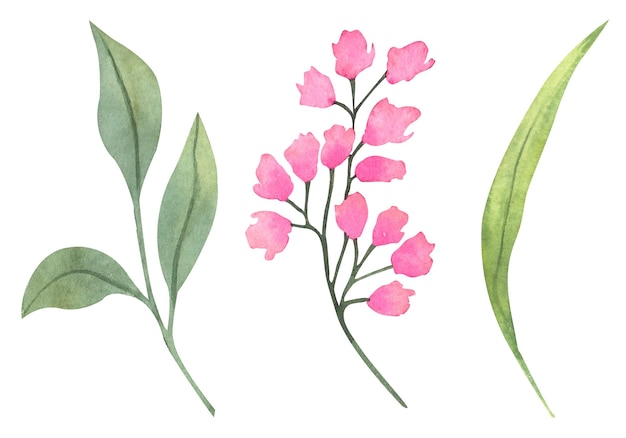 Set of watercolor flowers hand drawn botanical illustration of flowers and leaves in magenta color