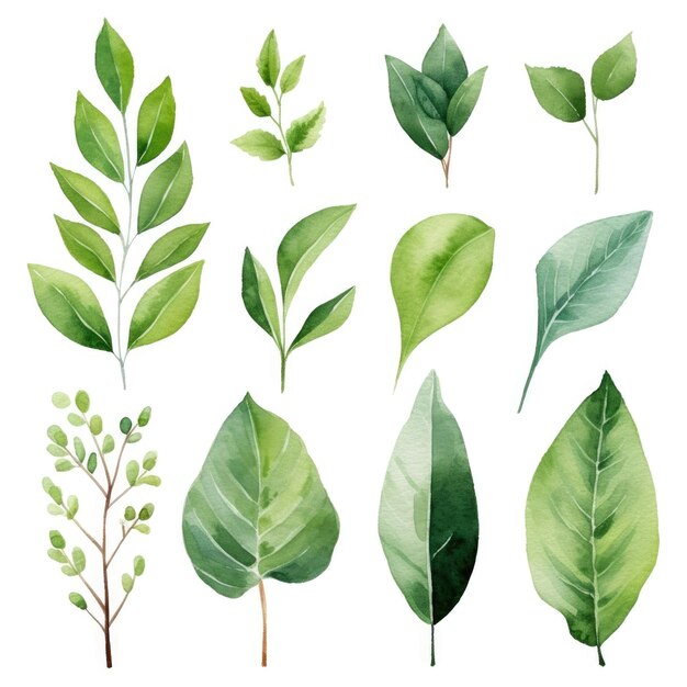 Photo set of watercolor green leaves on white background generative ai