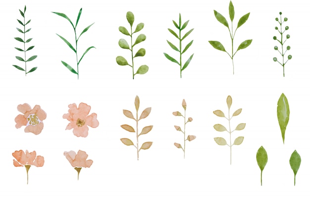 Set of watercolor herbarium elements pink flowers and leaf. Summer and spring seasons.