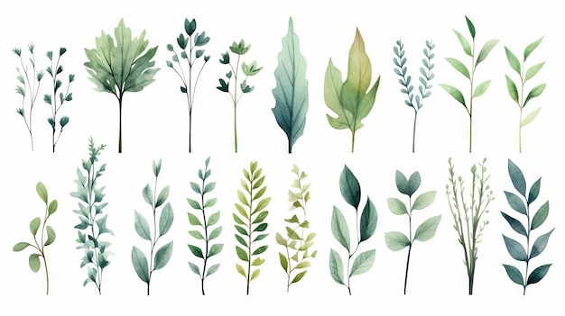 Set of watercolor herbs and leaves Hand drawn vector illustration Generative AI