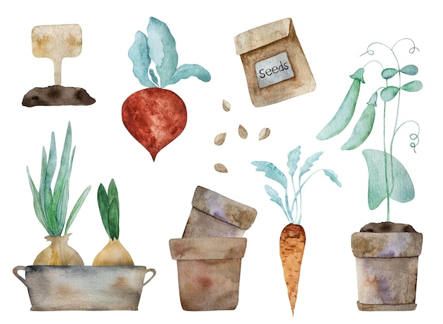 A set of watercolor illustrations for a book called " baths "