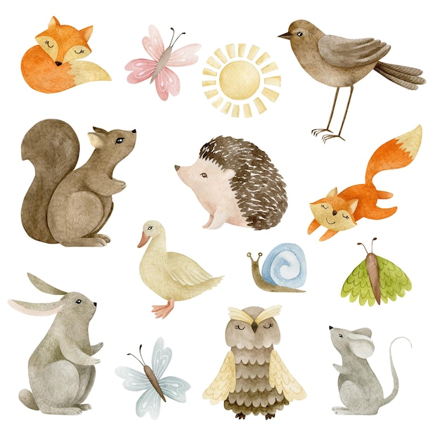 Set of watercolor illustrations forest animals isolated on white background.