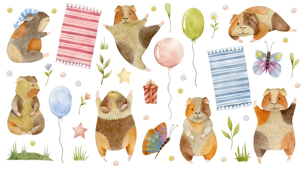 Set of watercolor illustrations of guinea pig.