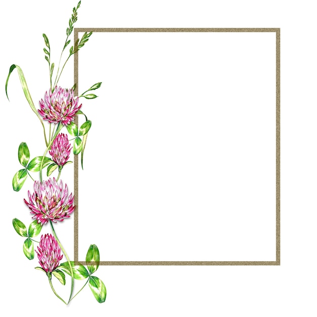 Набор акварельных иллюстраций луга травы цветы клевер летнее настроение для дизайна